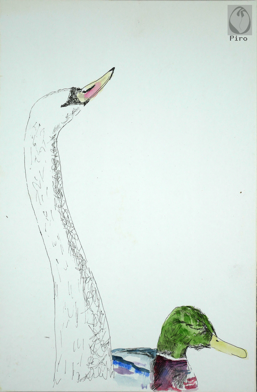 drawing - disegno al tratto di Piro